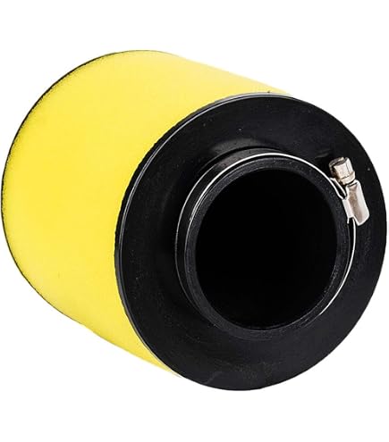 Amazon.com: Honda 17254-KAZ-000 Air Filter : Automotive